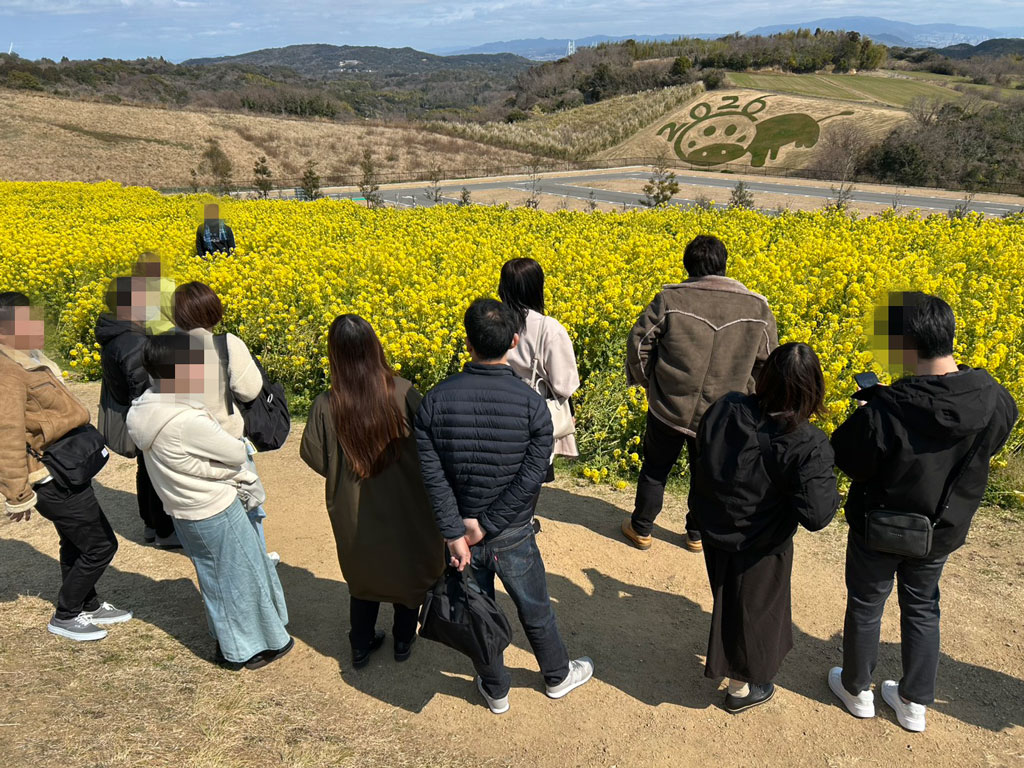 あわじ花さじきの花畑写真