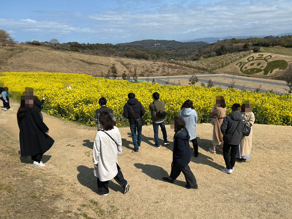あわじ花さじきの花畑写真
