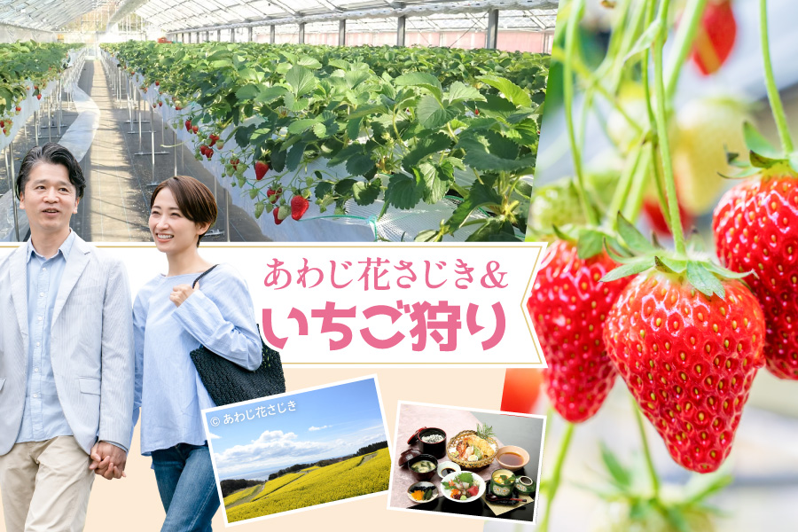 春だ！あわじ花さじき＆いちご狩りだ！バナー