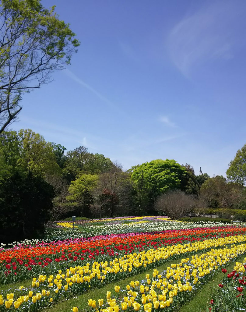 馬見丘陵公園写真
