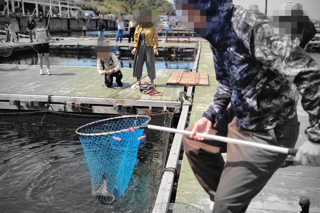 鯛を釣っている写真