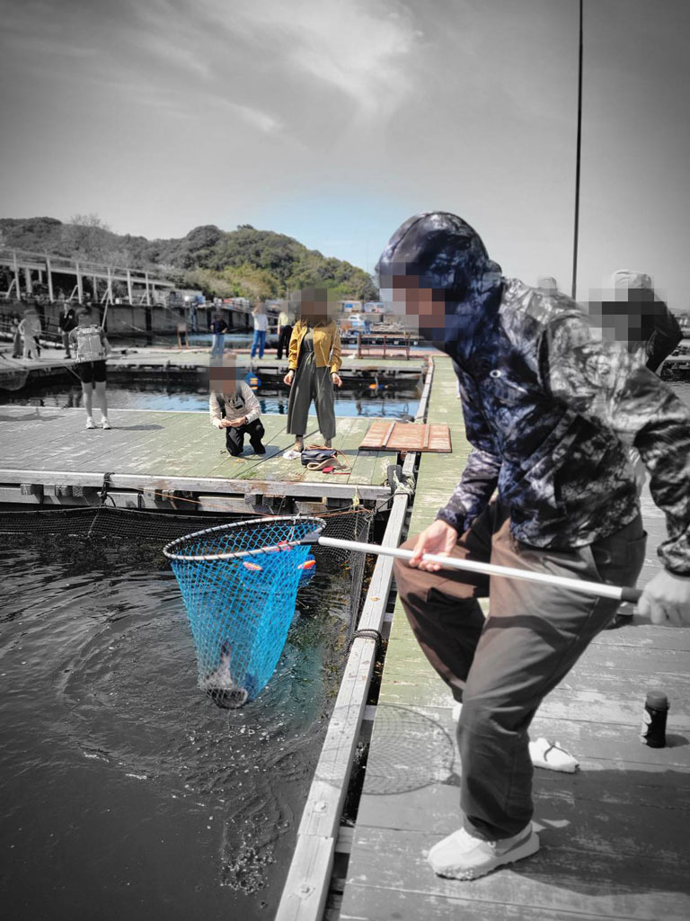 鯛を釣っている写真