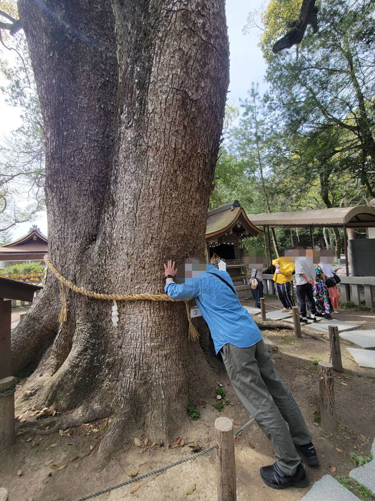 伊弉諾神宮の神木に触っている男性の写真