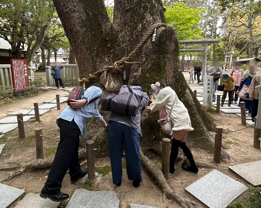 伊弉諾神宮の神木に触っている参加者の写真