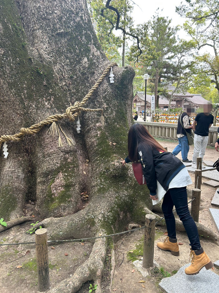 伊弉諾神宮の神木に触っている参加者の写真