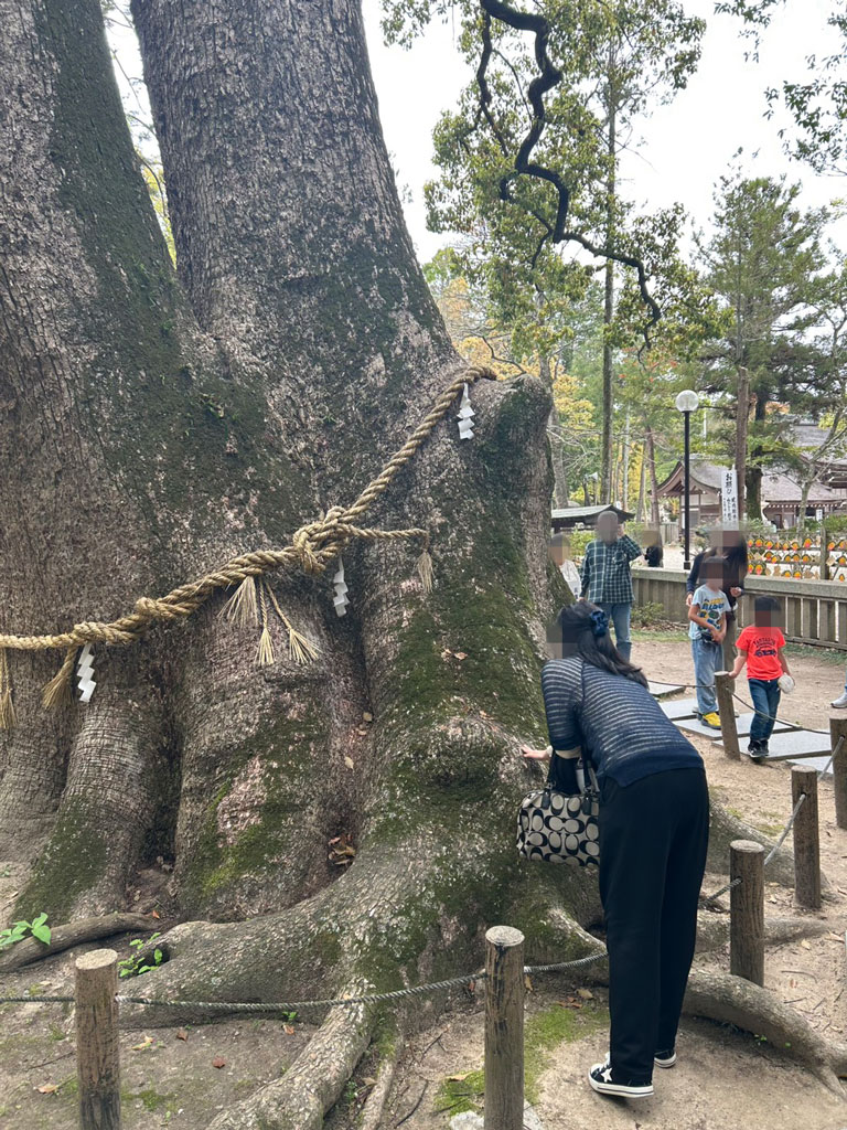 伊弉諾神宮の神木に触っている参加者の写真