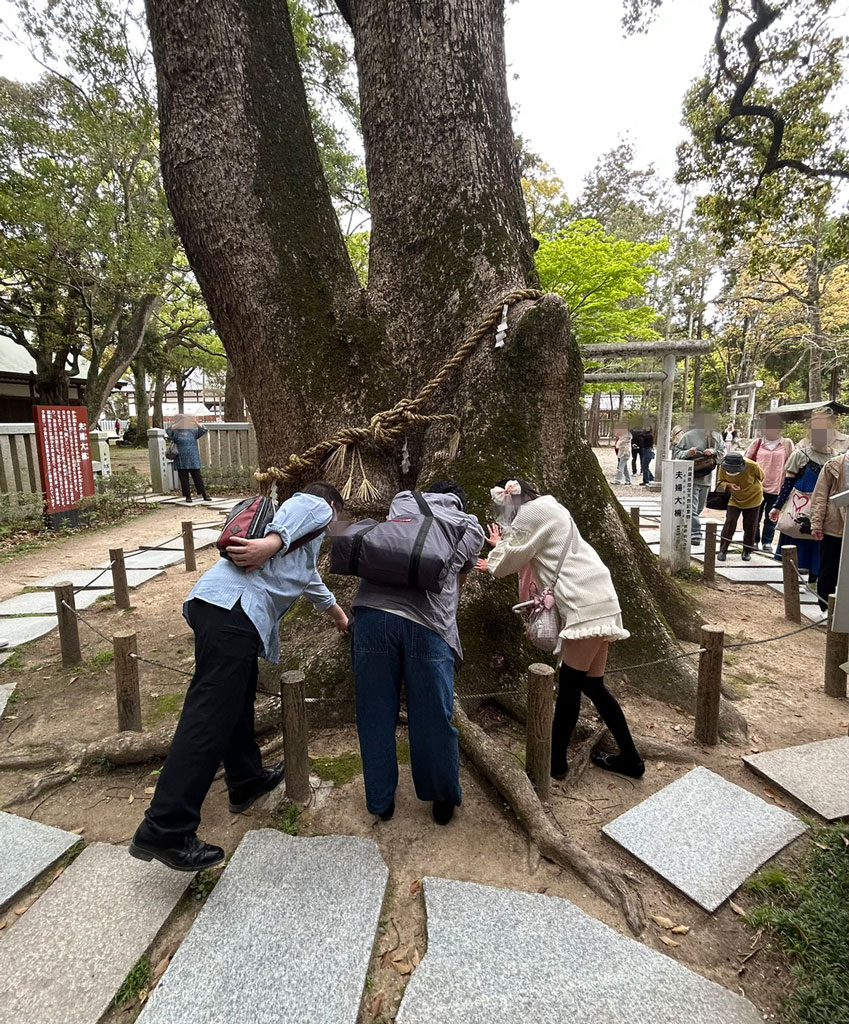 伊弉諾神宮の神木に触っている参加者の写真