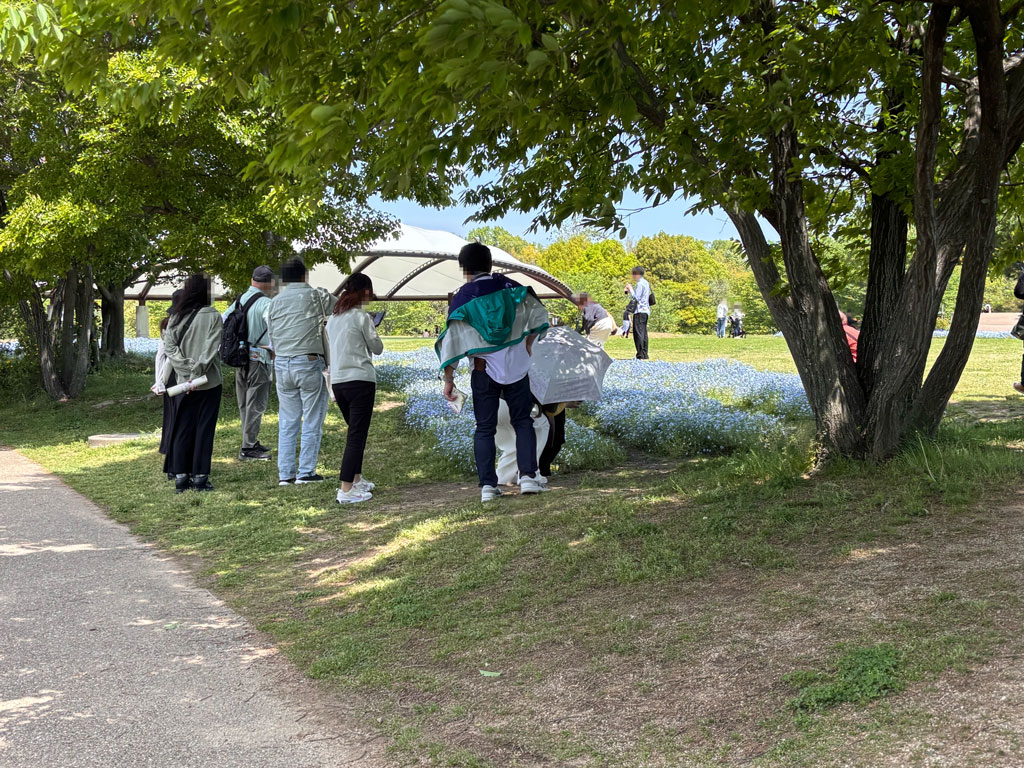 馬見丘陵公園のネモフィラを眺める参加者の写真