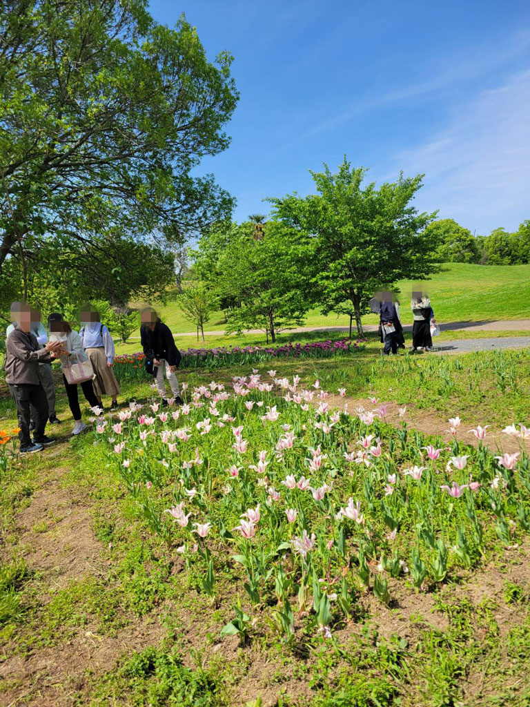 馬見丘陵公園のチューリップを眺める参加者の写真