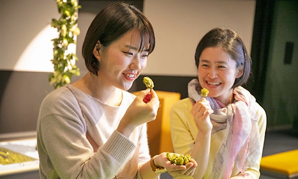キリンビール神戸工場見学ツアーイメージ写真