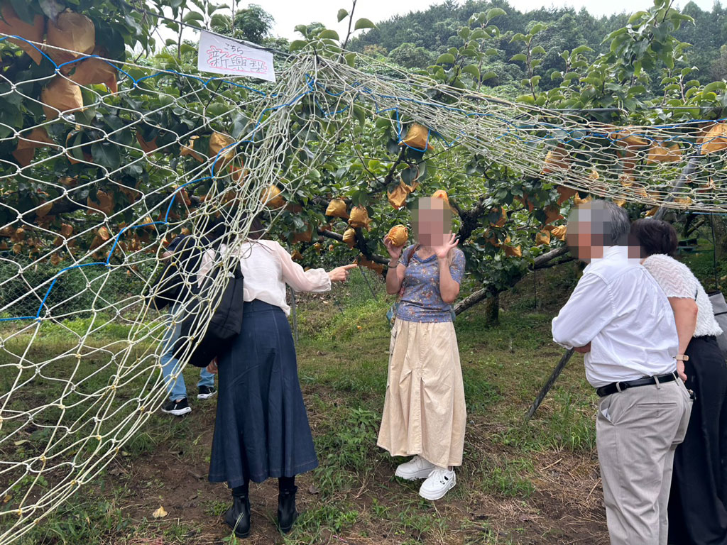 鳥取の梨狩り農園で梨を楽しむツアー参加者