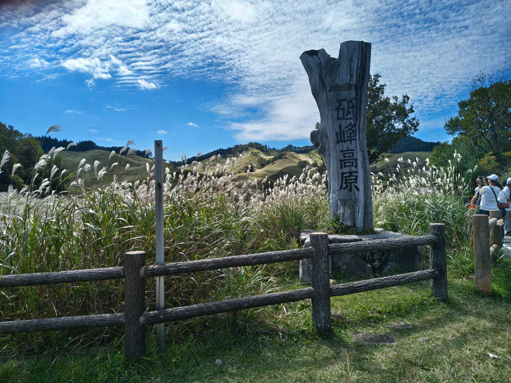秋のススキに囲まれた砥峰高原の入口