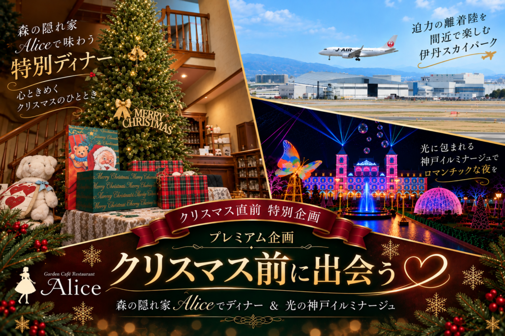 プレミアム企画【クリスマス前に出会う♡】森の隠れ家Aliceでディナー＆光の神戸イルミナージュ★