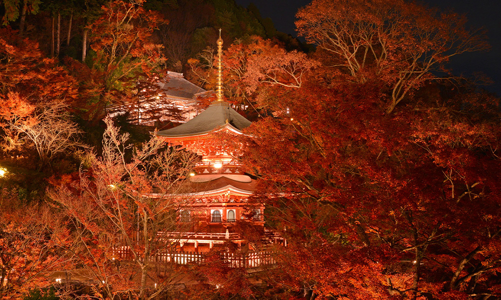 勝尾寺の紅葉ライトアップ