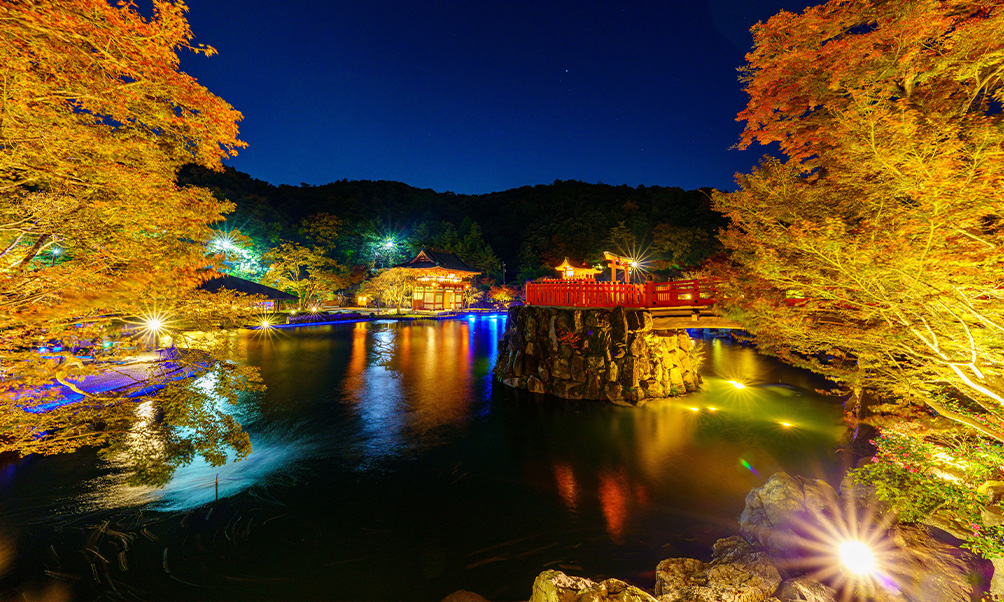 勝尾寺の紅葉ライトアップ